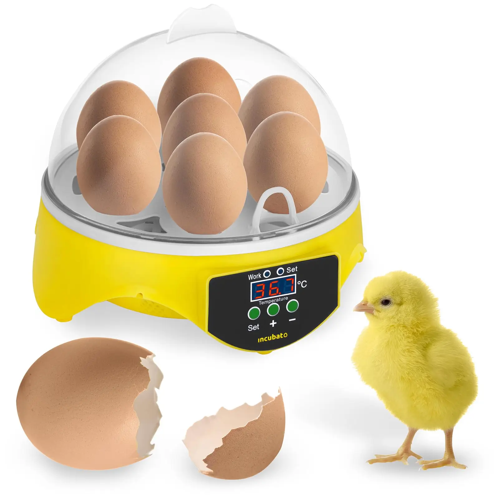Incubatrice per uova - 7 uova - Lampada sperauova inclusa